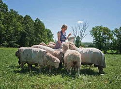 Paula Kucera, of White Barn Sheep and Wool, with her Cormo sheep outside her Gardiner home. - DEBORAH DEGRAFFENREID