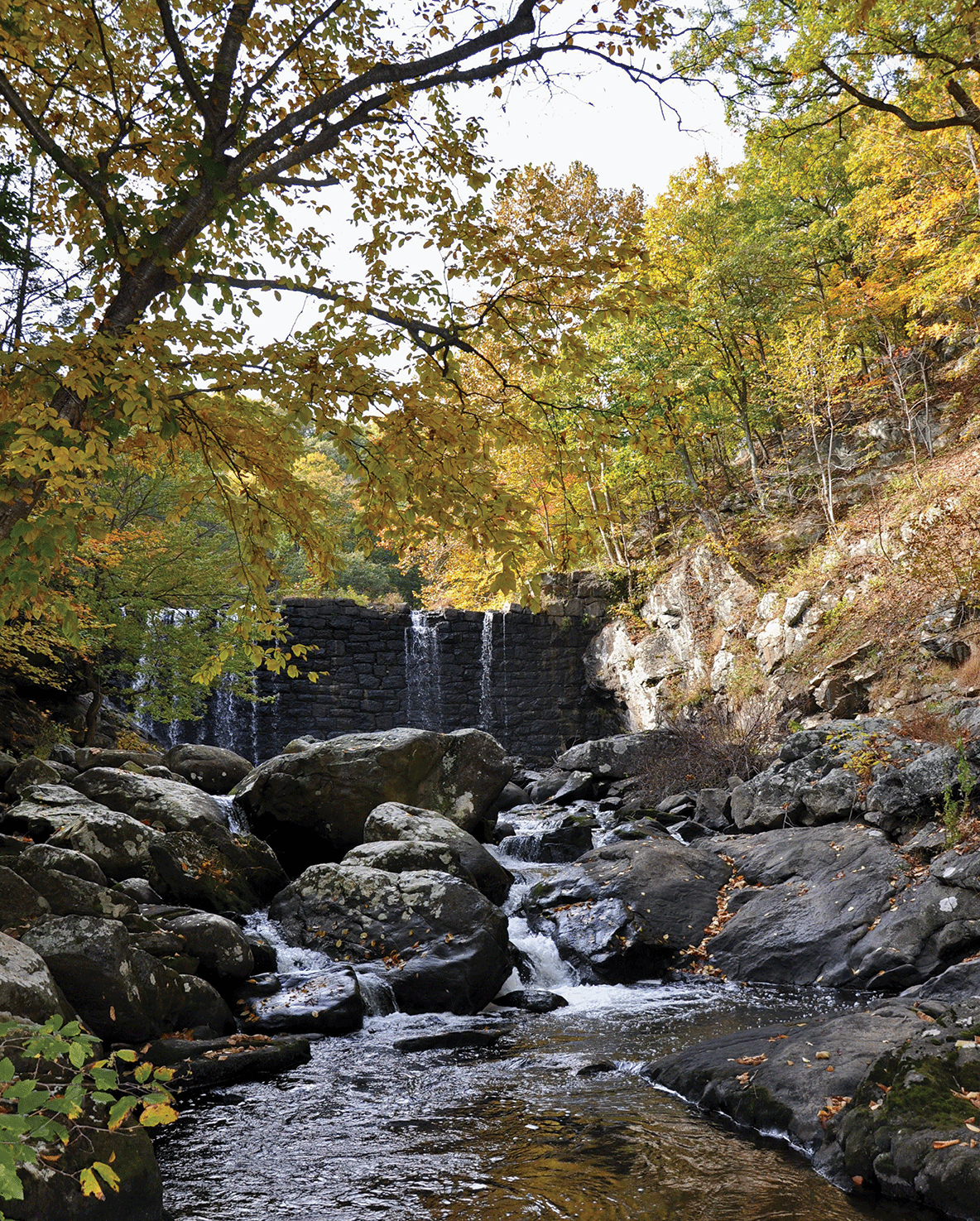 Popolopen Creek Falls, Alexander Boyle, 2009.