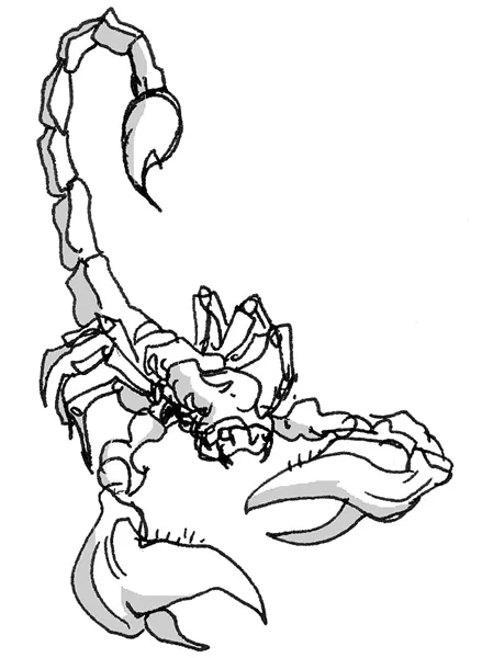 scorpio.jpg