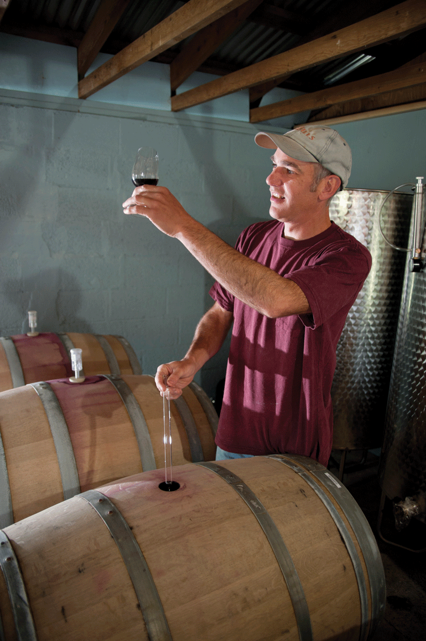 Scott, formerly an art director at Random House, makes the wine. - ROY GUMPEL