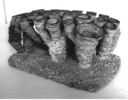 Surfaced Coral Garden, Val Bertoia, bronze sculpture.