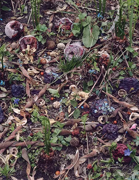 Tanya Marcuse - Fallen Nº 457 - 2013 - Detail of larger piece, 44” x 54” - Courtesy of the artist and Julie Saul Gallery, NYC - - From the exhibition “On Time and Place: Celebrating Scenic Hudson’s First Fifty Years,” at the Tremaine Gallery at the Hotchkiss School in Lakeville, CT, February 7 to March 6. - TANYA MARCUSE