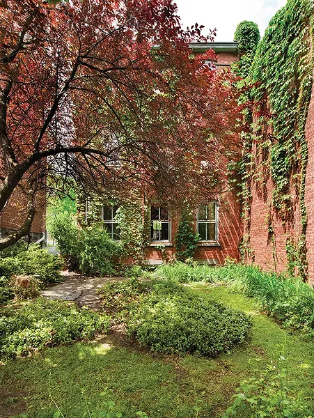 The back yard.