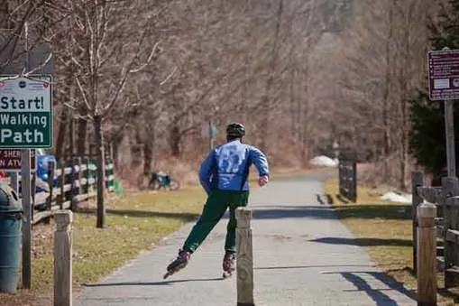 The Harlem Valley Rail Trail connects Amenia and Millerton via eight miles of paved former railbed. - STEFFEN THALEMANN