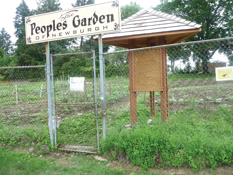 The people’s garden of Newburgh on Gidney avenue.