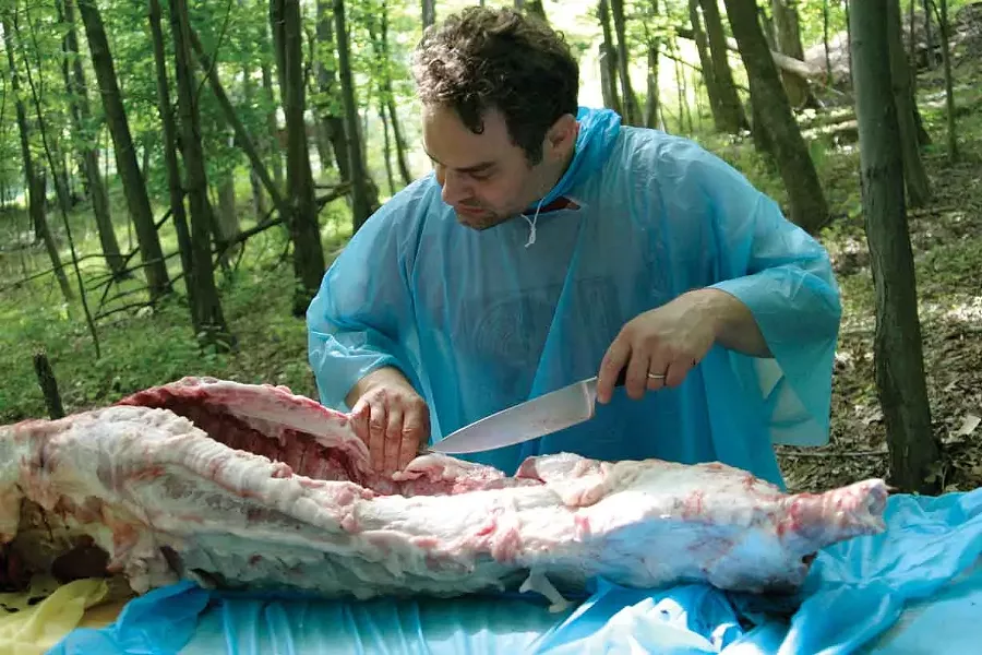 butchery_peterbarrett_woodstock.jpg