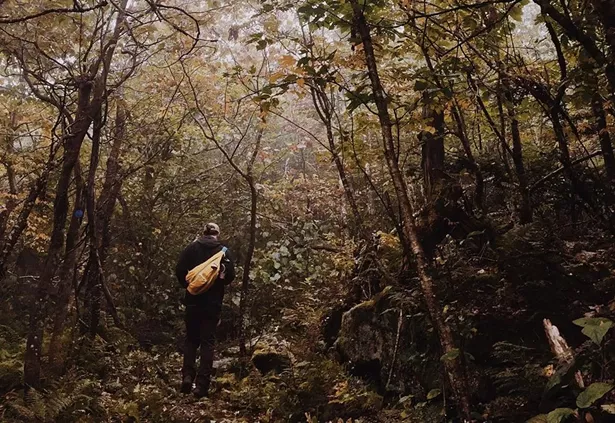Panther Mountain - SIERRA FLACH
