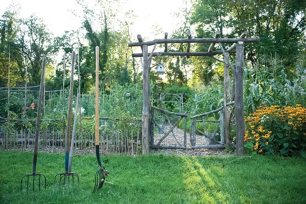 Gardening master Lee Reich's no-till vegetable garden in New Paltz. Garden beds have one to two inches of mulch and compost added per year and are never dug or compacted. - JENNIFER MAY