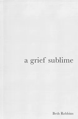 02_a-grief-sublime_beth-robbins.jpg