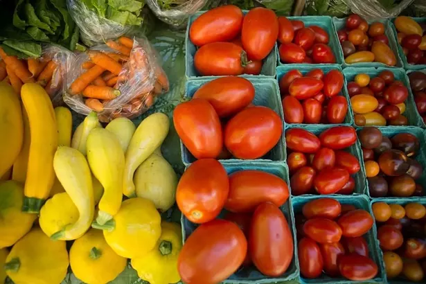 CORNELL COOPERATIVE EXTENSION OF ULSTER COUNTY