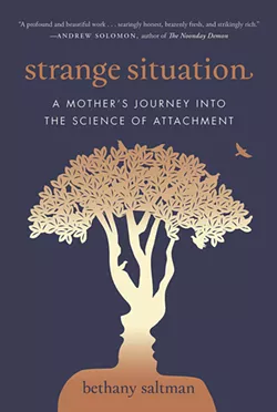 04_strange-situation---a-mother_s-journey-into-the-science.jpg