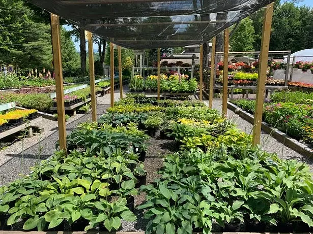 ALL IMAGES COURTESY KERNS NURSERY