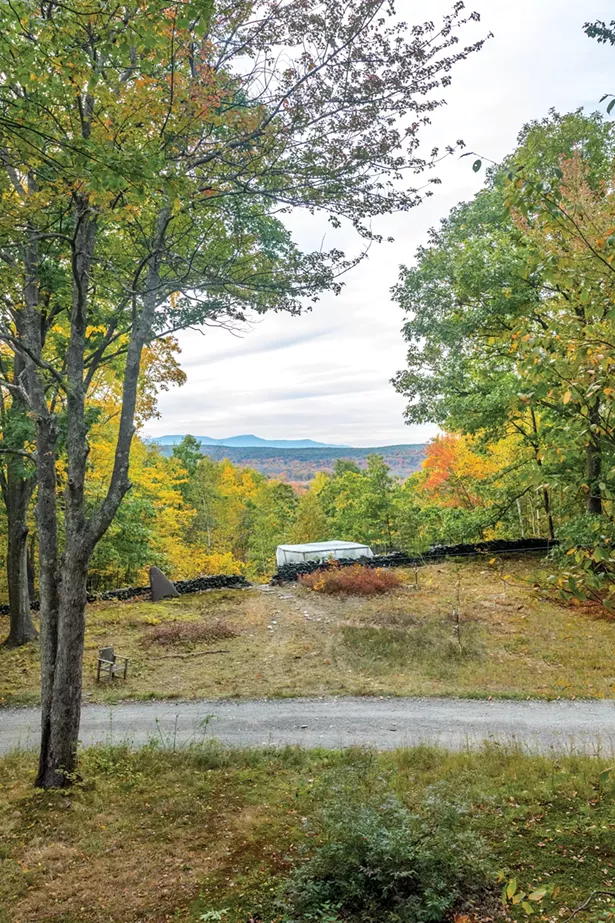 Gone to the Dogs: Two Writers Design Pup-Friendly Abode in the Woods