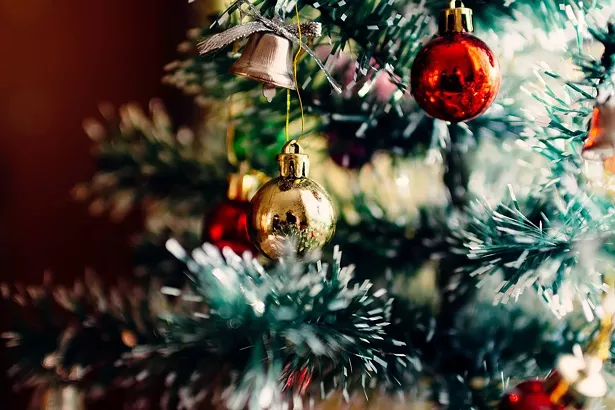 christmas-tree-1149619_1280.jpg