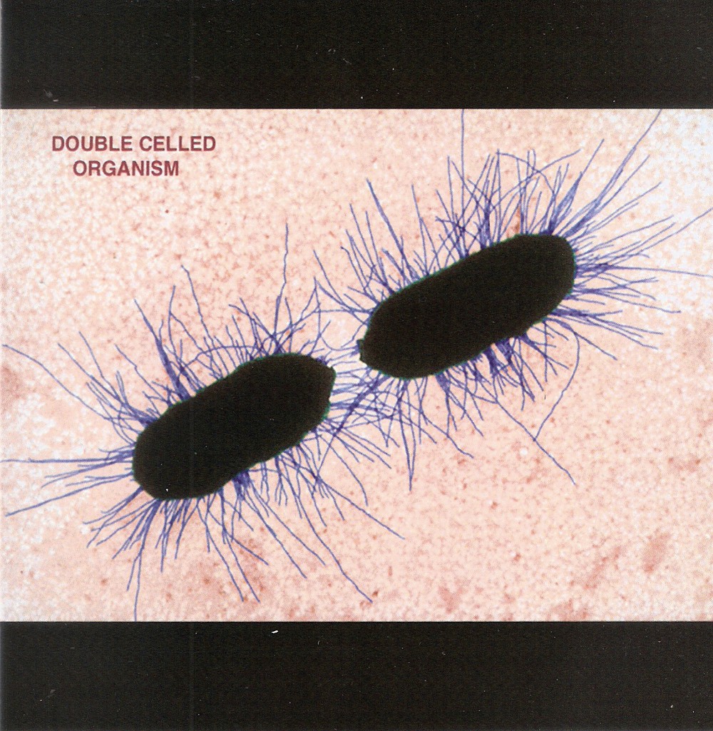 cd_double_celled_organism.jpg