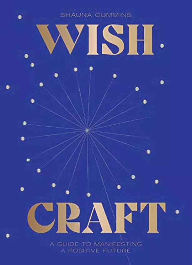 books_--_wishcraft_a_guide_to_manifesting_a_positive_future_shauna_cummins.jpg