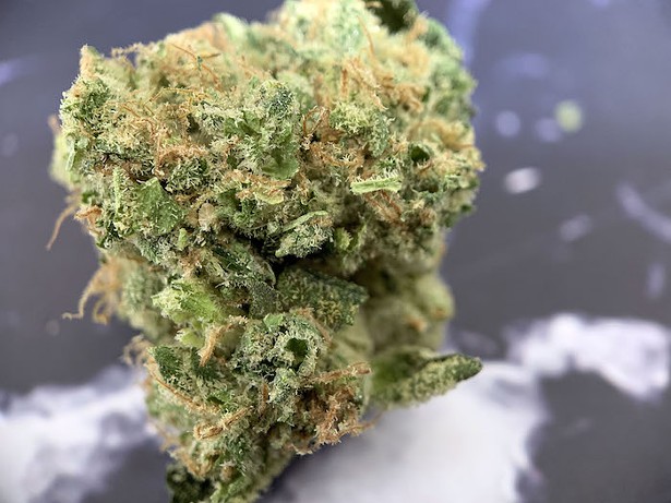 Orange Chameleon, a strain of sativa cultivated by Berkshire Roots - IMAGES COURTESY OF BERKSHIRE ROOTS