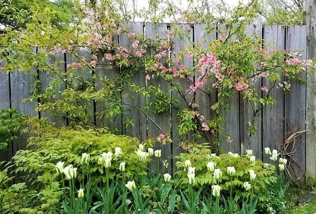 Stonecrop Gardens