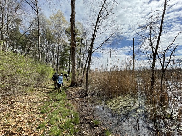 Vlei Marsh wetland trail