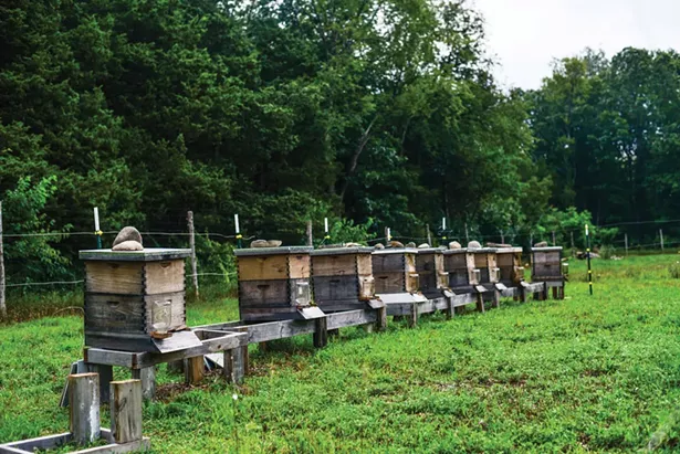 Arrowwood Farm Brewery in Accord raises its own bees and devotes 20 acres to experimental hop and grain farming.