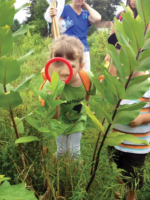 Bug hunting in the fields of the Hudson Highlands Nature Museum in Cornwall.