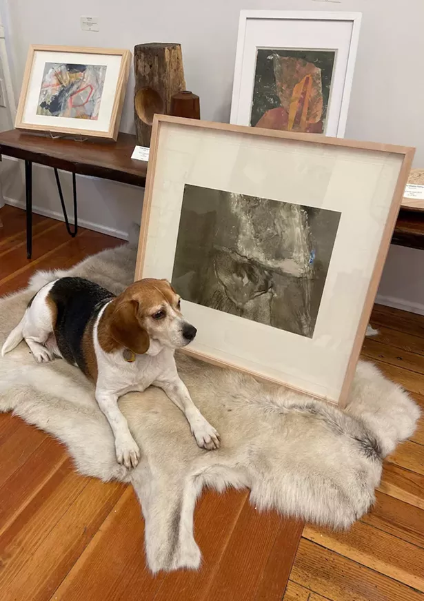 Vladimir the beagle adds to Pinkwater Gallery's homey ambience. - IMAGES COURTESY OF PINKWATER GALLERY