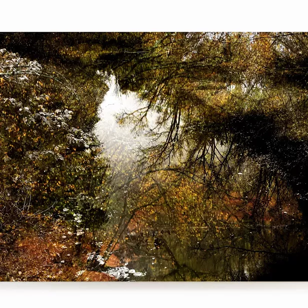 David McIntyre, "Requiem for Silence" - IMAGES COURTESY OF 2ECOND SATURDAY GALLERY CRAWL