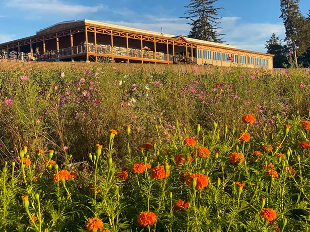 Fishkill Farms' Cider Bar