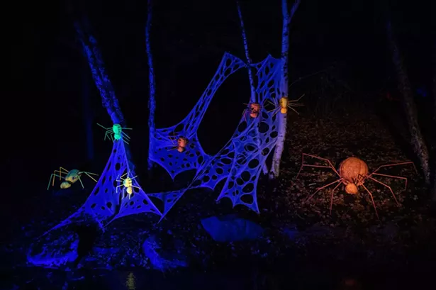 IMAGES COURTESY OF BETHEL WOODS CENTER FOR THE ARTS