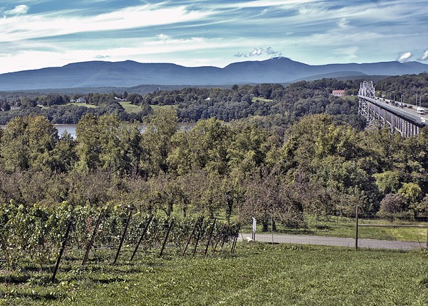 The view from Whitecliff's Hudson vineyard.