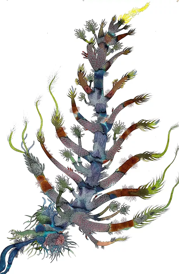 Flora as Fauna: New Paintings by Emily Ritz (2)