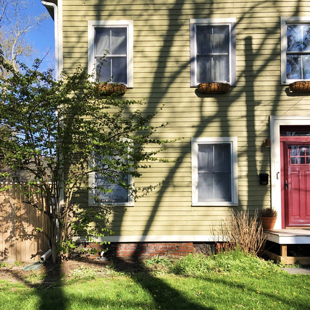 THE MAE HOUSE