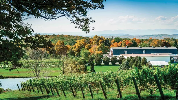 Millbrook Vineyard and Winery - SYLVAIN COTE