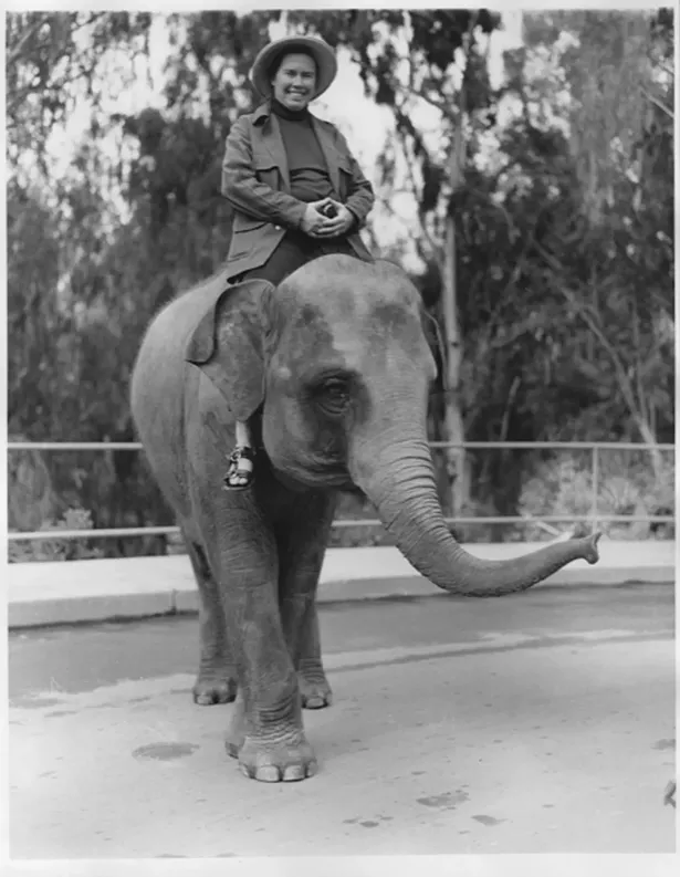 Pauline Oliveros atop an elephant - PHOTO BY BECKY COHEN