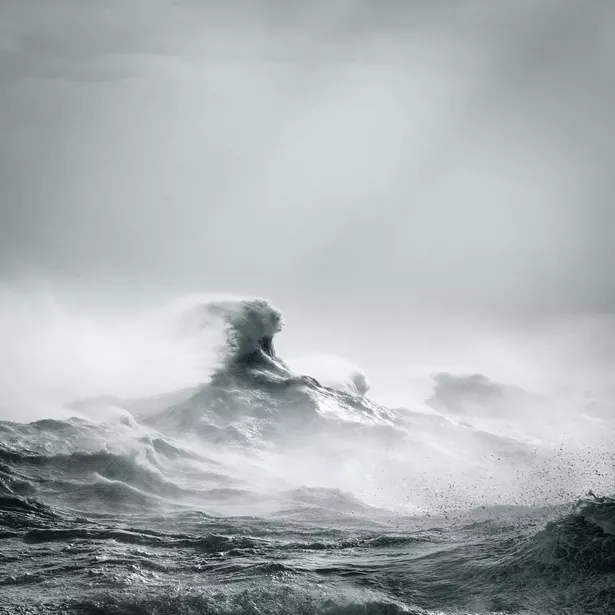 art_--_rachel_talibart_--_poseidon_rising.jpg