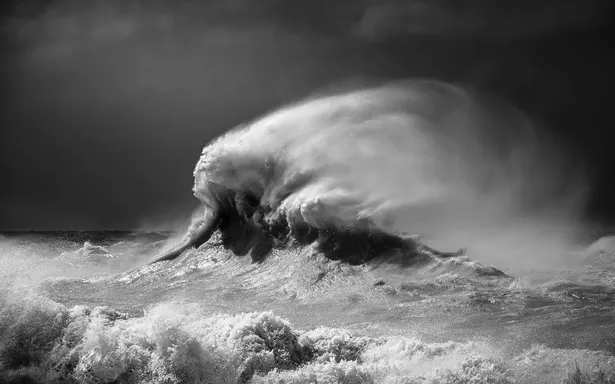 Behemoth, Rachael Talibart, photograph