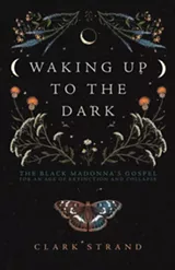 books_--_waking_up_to_the_dark_clark_strand.jpg