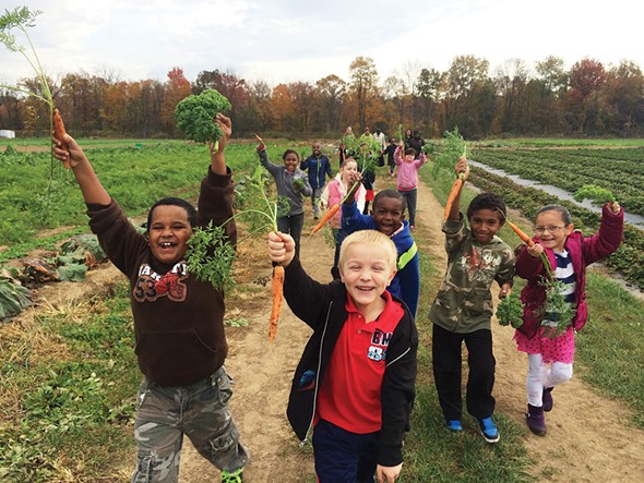 Students picking carrots at the Poughkeepsie Farm Project.