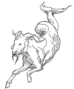 capricorn.jpg