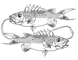 pisces.jpg