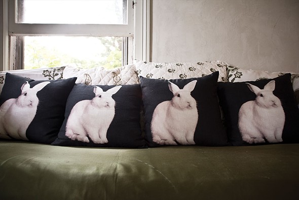 A row of pillows printed with Shaff’s bunny portraits. Designed to be affordable and lived with, her compositions are simple yet singular expressions of each animal subject, and by extension, the humans that identify with them.