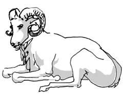 aries.jpg