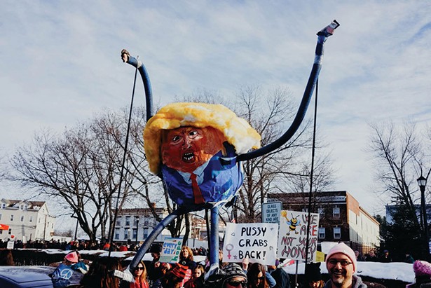 Photos from the second annual Women’s March in Hudson on January 20 - ANNA VICTORIA