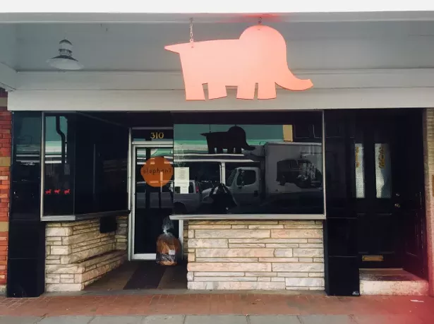 elephant_close.jpg