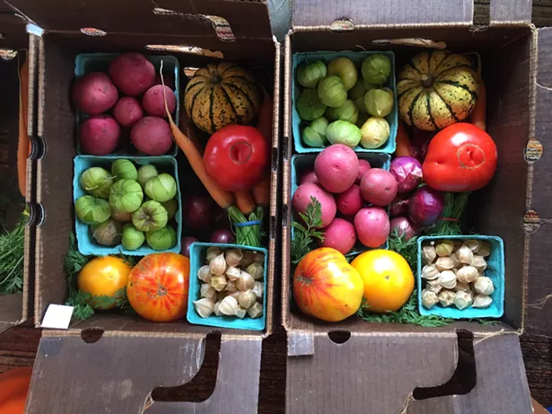 csaday_kellyperrin_atthemarket.jpg