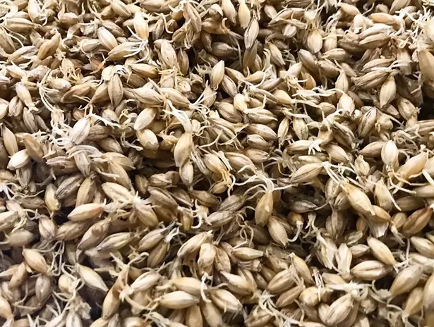hudson_valley_malt_local_beer3.jpg