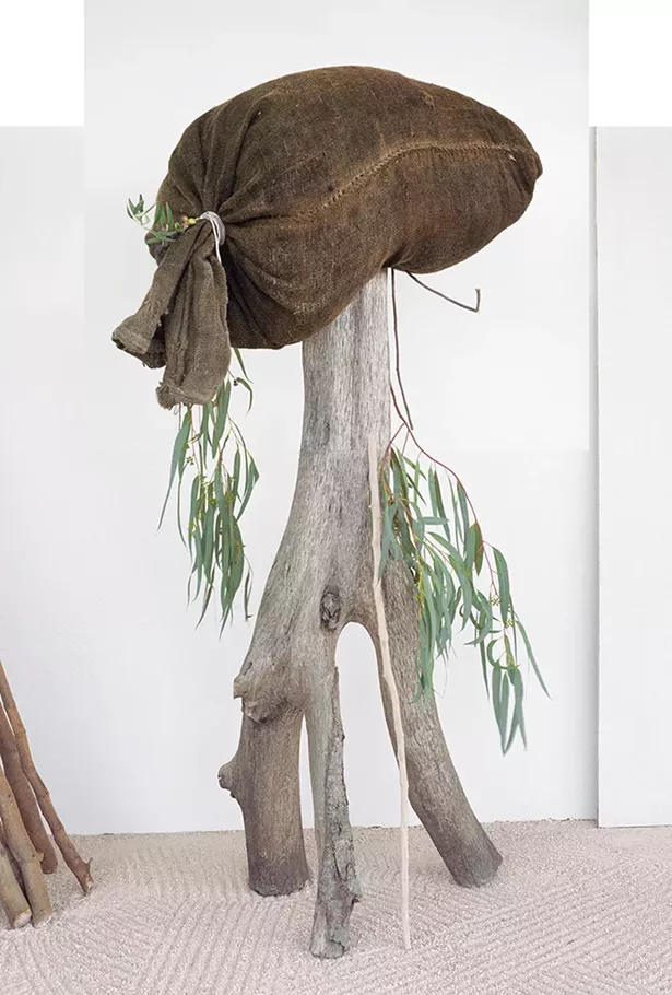 David Halliday, Olive Sack, 2018, archival pigment print