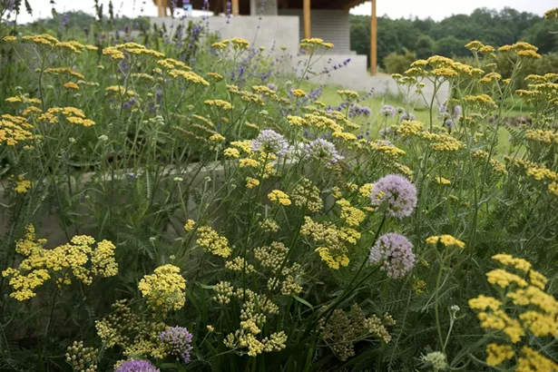 Hudson Garden Studio