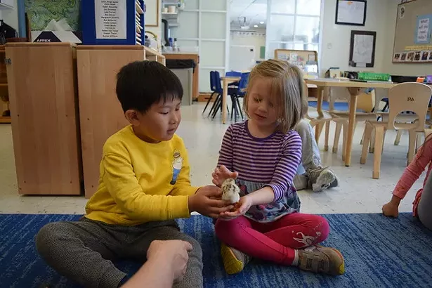 poughkeepsie_day_school_farm_learning2.jpg