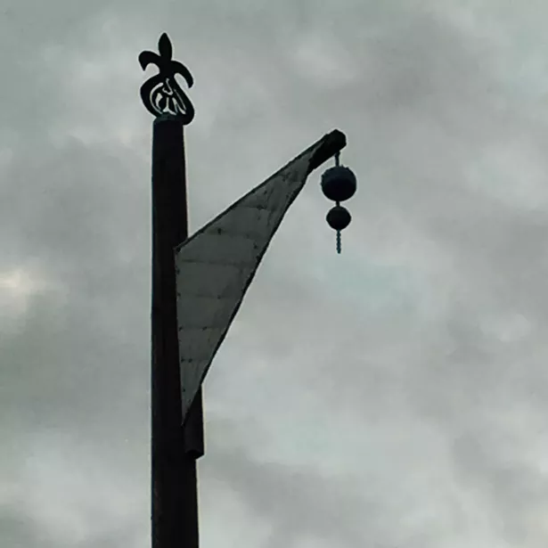 img_1231.jpeg